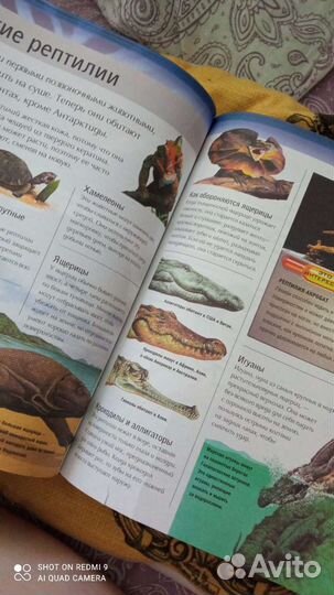 Детская энциклопедия