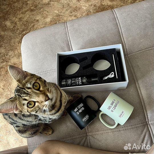 Диван для сна от производителя с полками
