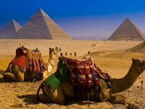 Турпоездка Египет 11 нч все вкл