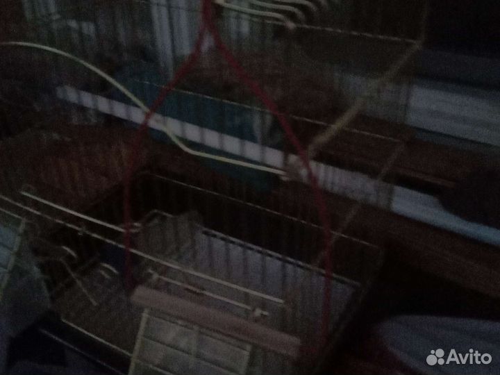 Клетка для попугая