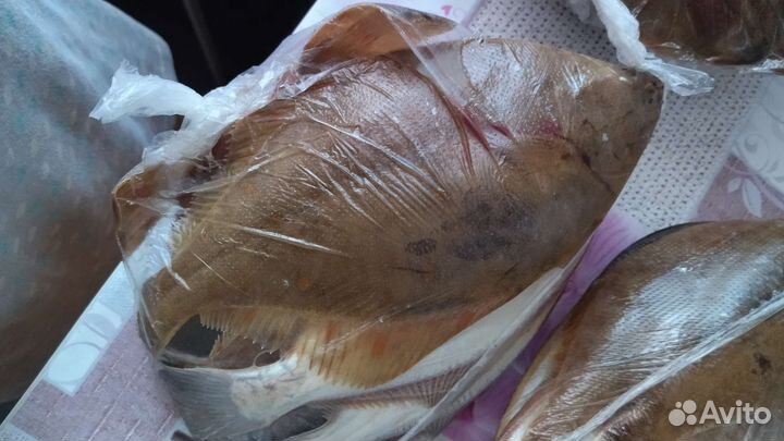 Рыба Камбала