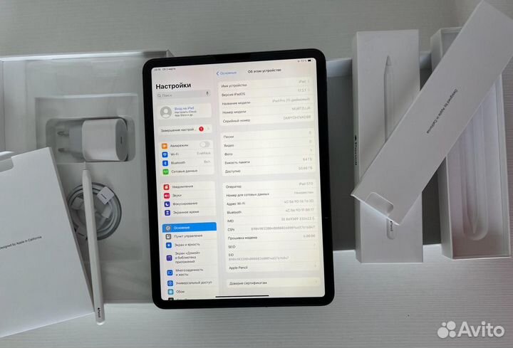 iPad pro 11 LTE Gb 64 Procreate