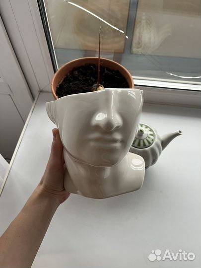 Кашпо/цветочный горшок h&m home