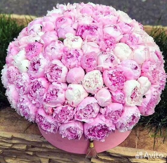 Пионы Цветы Доставка