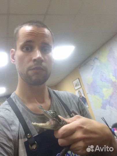 Обслуживание террариумов, аквариумов, клеток, воль