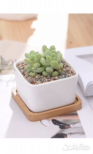 Кашпо для цветов керамика