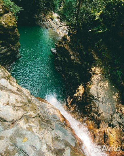 Экскурсии в Сочи, Абхазию и др