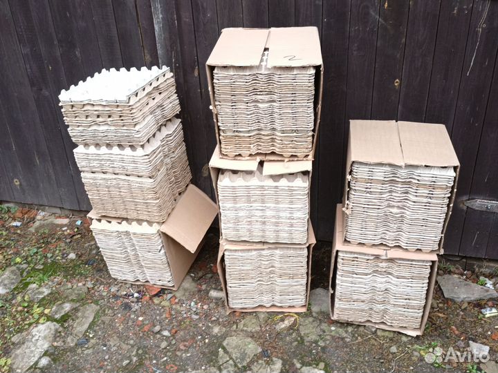 Коробки для яиц