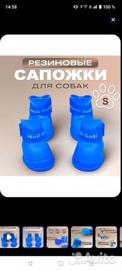 Сапоги для собак