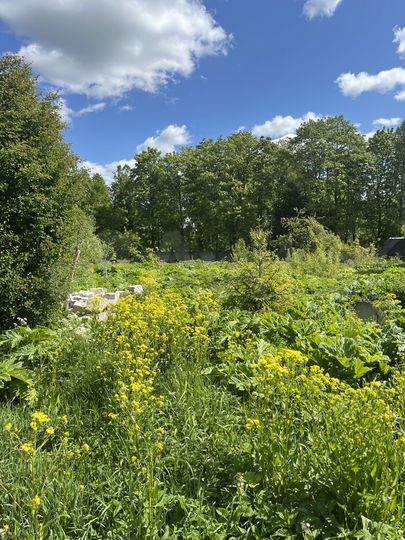 Участок 14,2 сот. (ИЖС)