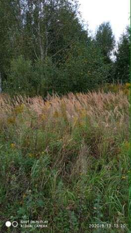 Участок 15 сот. (ИЖС)