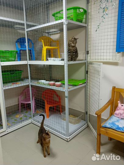 Зоогостиница 