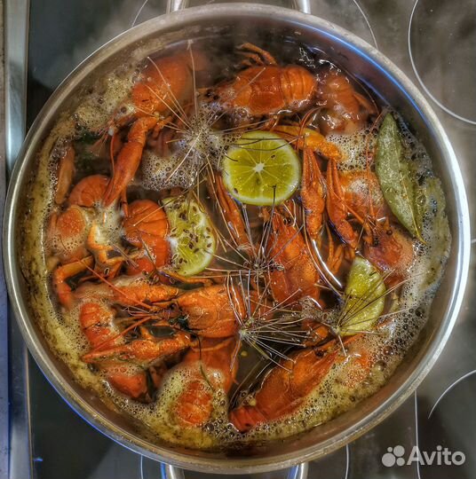 Дикие Волжские живые раки опт\розница