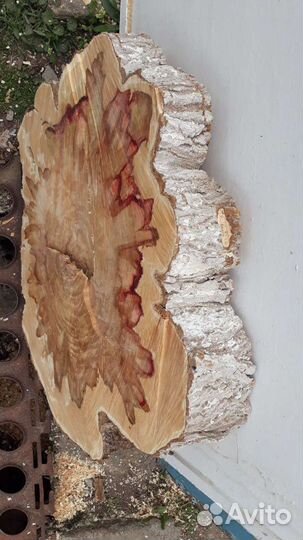 Слэбы карагача каповые, возможен обмен