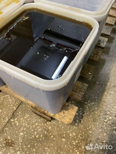 Гречишный мед 2024