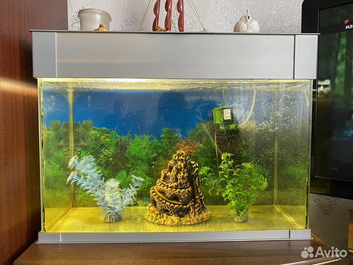 Аквариум