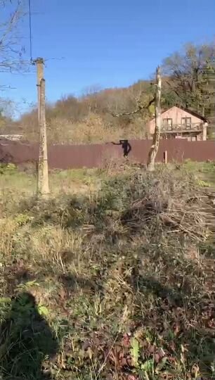 Участок 3,5 сот. (СНТ, ДНП)