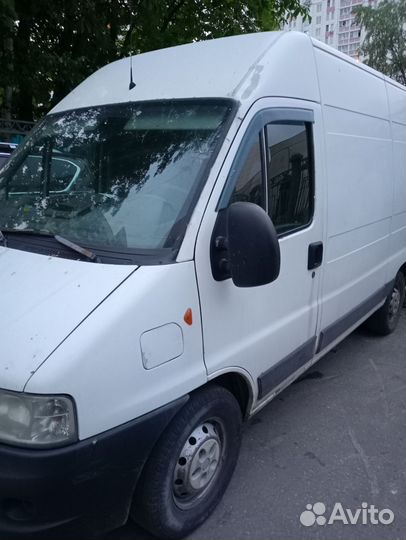 FIAT Ducato цельнометаллический, 2012