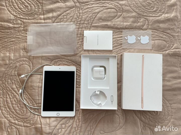 iPad mini 5 256gb cellular