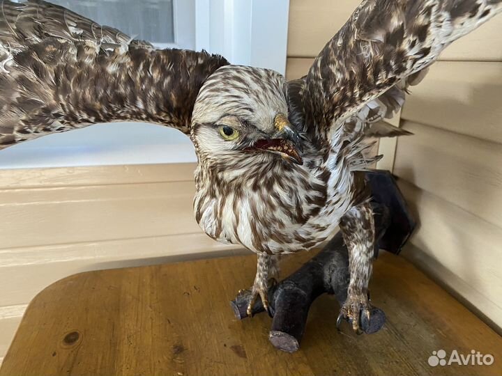 Предмет для интерьера