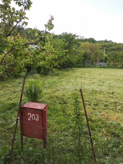 Участок 6 сот. (СНТ, ДНП)