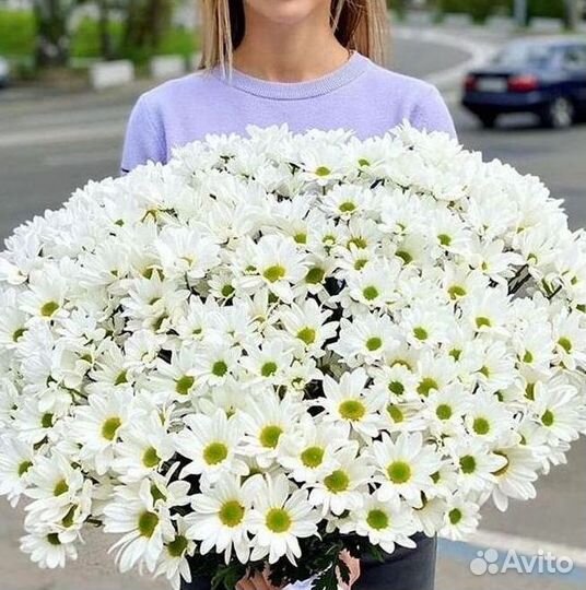 Хризантема Букеты с доставкой