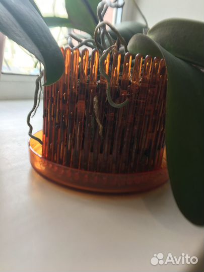 Кашпо горшок для цветы