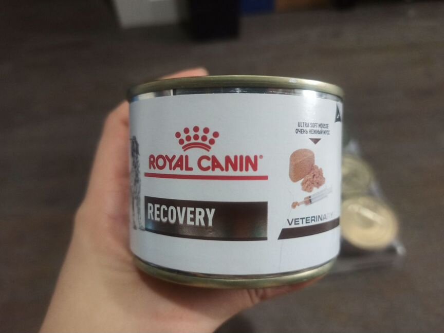 Royal canin recovery