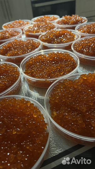 Икра Горбуши 2023