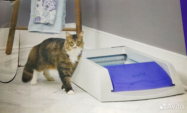 Автоматический лоток кошек домашних животных USA