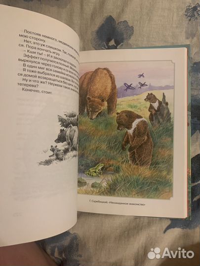 Хрестоматия 300 страниц про зверей и птиц