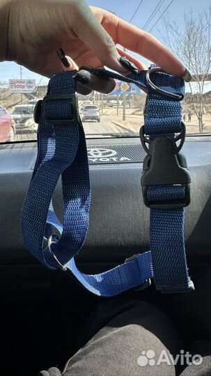 Шлейка для собаки