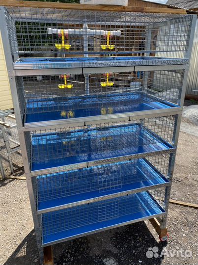 Клетка, брудер для перепелов