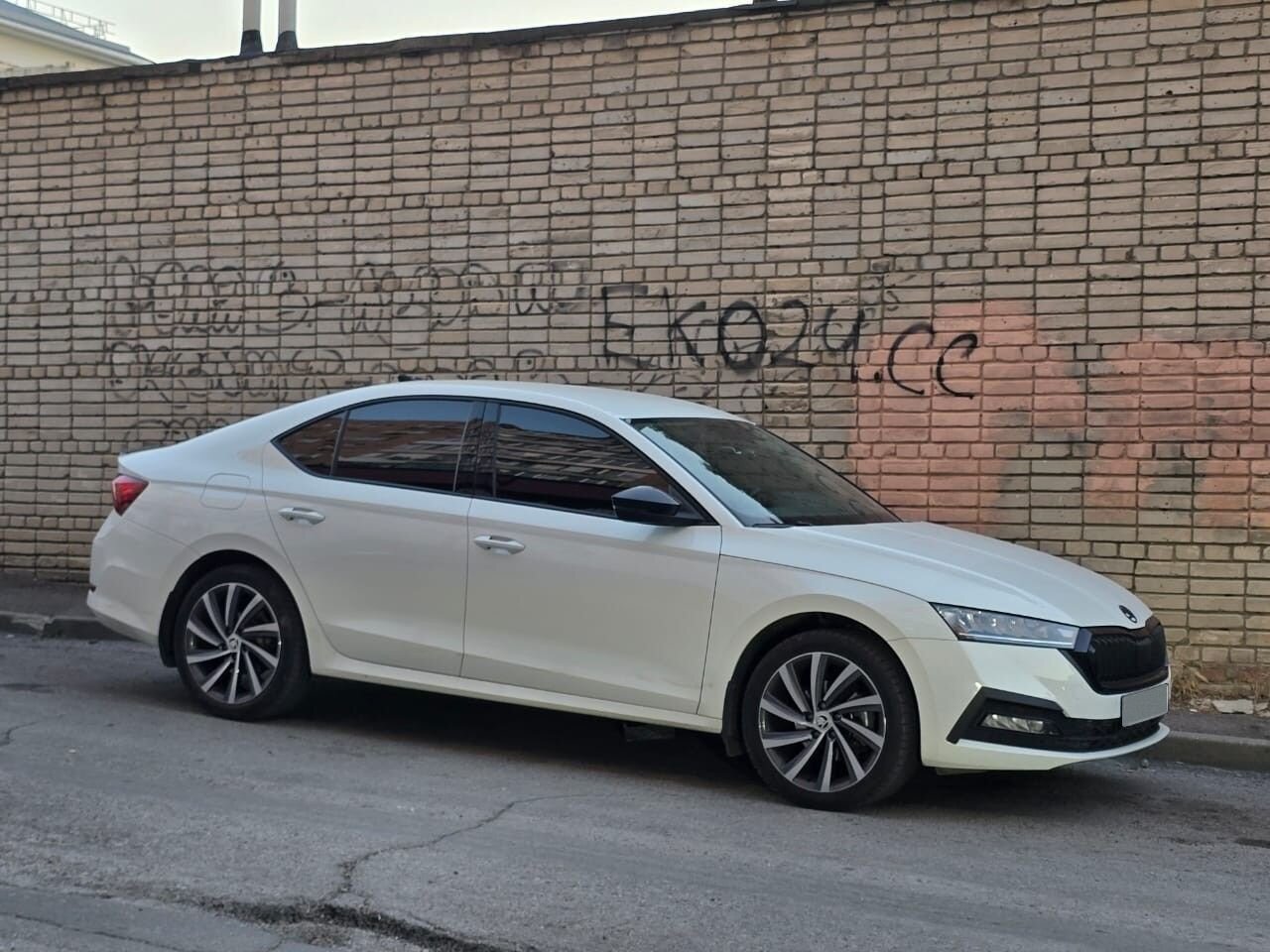 Skoda Octavia: фото владельца