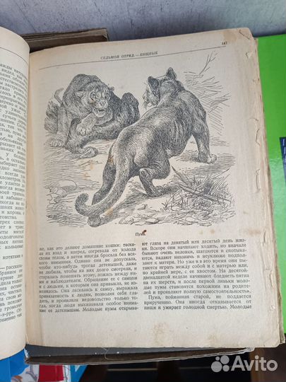 Книги А. Брэм и Технология приготовления пищи