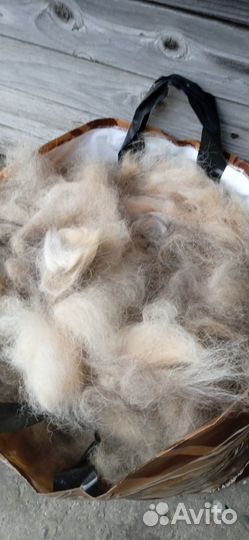 Собачья шерсть