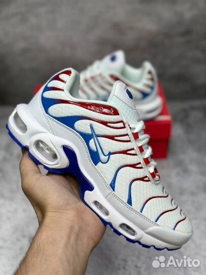 Кроссовки мужские Nike Air max TN plus