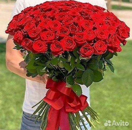 Высокие розы