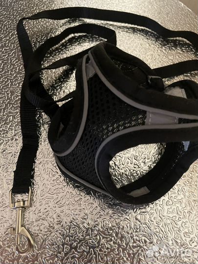 Кофта и шлейка для щенков маленьких пород