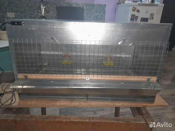 Брудер для цыплят