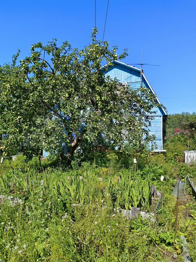 Дача 38 м² на участке 12 сот.