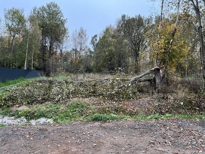 Участок 12,5 сот. (СНТ, ДНП)