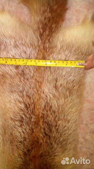 Шикарные шкуры лисы