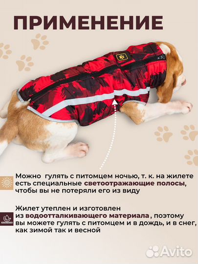 Жилетка для средних собак