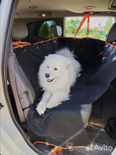 Автогамак для собак