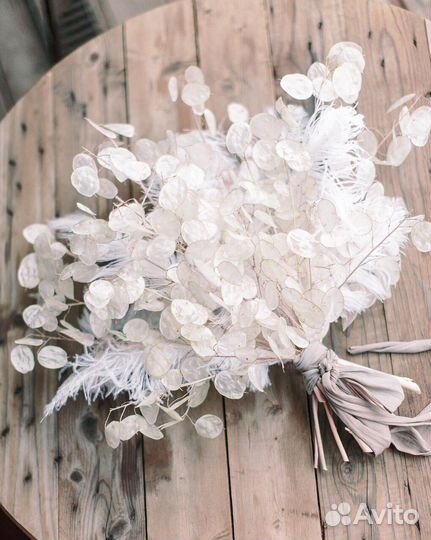 Лунник лунария семена интерьерный сухоцвет