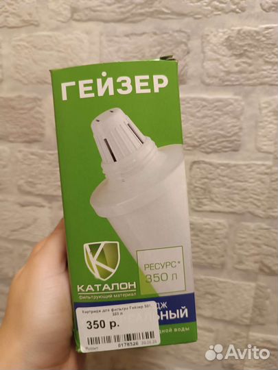Фильтр для воды гейзер