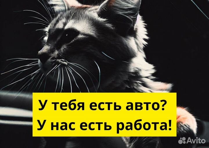 Личный транспорт и работа в Яндекс.Go