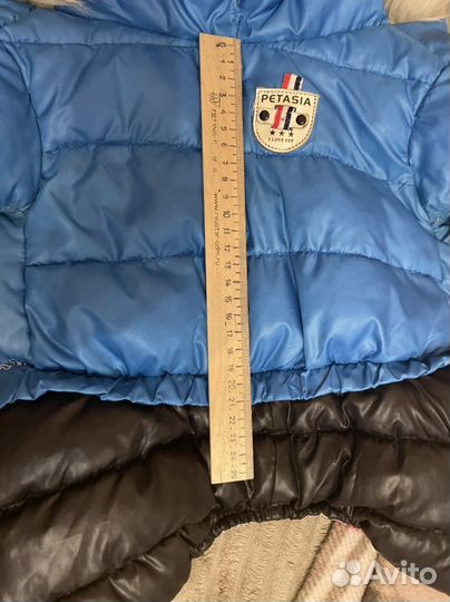 Одежда для собак