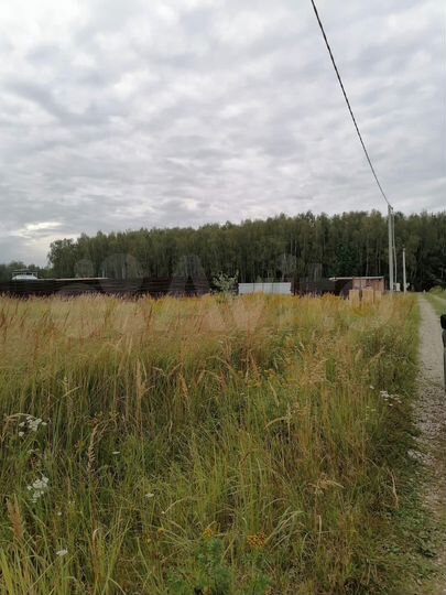 Участок 10 сот. (СНТ, ДНП)